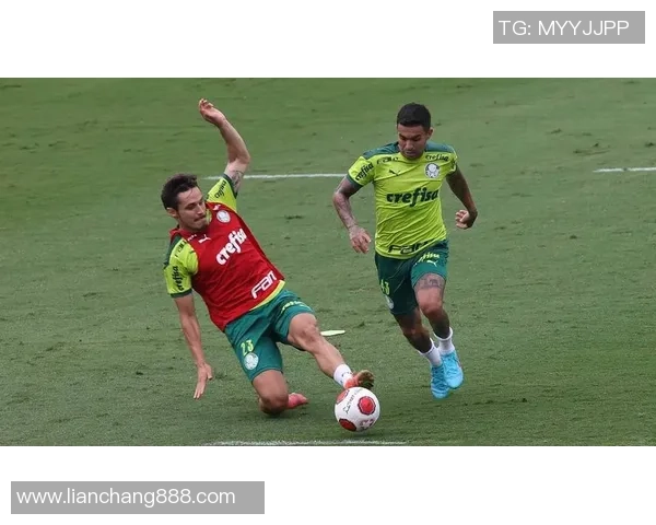 顶级足球球星训练秘笈揭秘 从基础到巅峰成就全面剖析